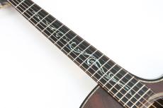 Taylor Builder's Edition K24ce_7