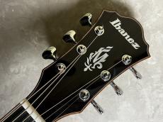 Ibanez MRC10 NT エレアコギター MSRCINシグネイチャーモデル マルシン_6