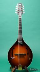 Collings MT-2 SB_2