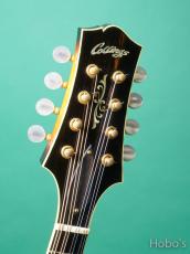 Collings MT-2 SB_3