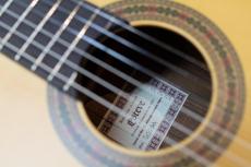 Esteve  SEGURA (セグラ) 650mm マイク搭載　エステベ_6