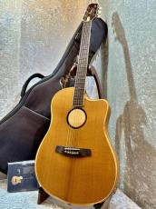 L.R.Baggs 【歳末セール!!～12/31まで!!】【試奏動画あり】AEG-1 TOR #0516【音抜け抜群】【送料当社負担】【池袋店在庫品】_2