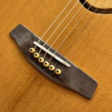 L.R.Baggs 【歳末セール!!～12/31まで!!】【試奏動画あり】AEG-1 TOR #0516【音抜け抜群】【送料当社負担】【池袋店在庫品】_5