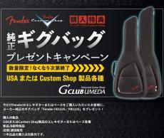 Fender Custom Shop 1961 Telecaster Heavy Relic - AGED OLYMPIC WHITE- CZ586415 3.38kg_10