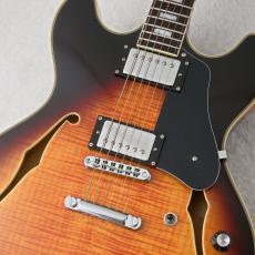 Sire Larry Carlton H7 -VS-【USED】【43mm】