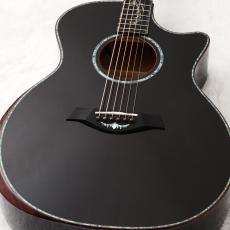 Taylor CTM GA GaslampBlack 【オーダー品】【現地材選定品】【48回無金利】【オリジナルグッズプレゼント!】
