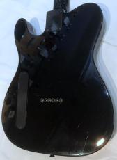 FERNANDES TE-95HT_5