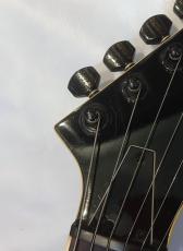 FERNANDES TE-95HT_10