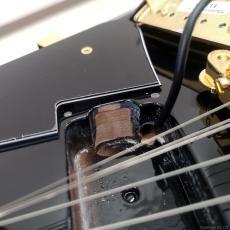 Edwards E-LP-CTM "All Mahogany" BK [Black] [当店オリジナルモデル]_9