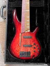Ibanez SRAS 7_2