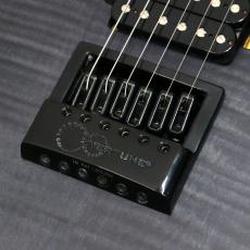 Balaguer Guitars Diablo Standard with Evertune Bridge, Satin Trans Black_7