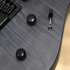Balaguer Guitars Diablo Standard with Evertune Bridge, Satin Trans Black_8