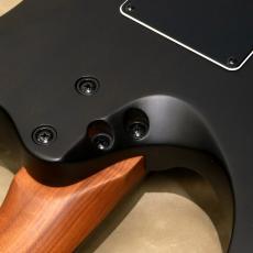 Balaguer Guitars Diablo Standard with Evertune Bridge, Satin Trans Black_10