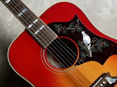 Gibson Dove Original_4