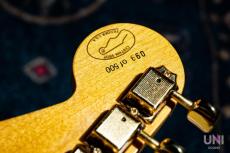 Fender Custom Shop Limited Edition H.L.E. Gold Stratocaster 099 of 500 / 1989_6