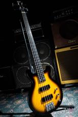 ESP J-TVB-V (Tobacco Sunburst) "J" Signature Model_2