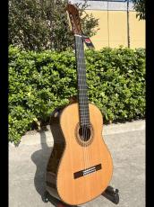 Aiersi Guitar SC096R-J【オールソリッド|杉&ローズ】好評につき在庫追加しました!