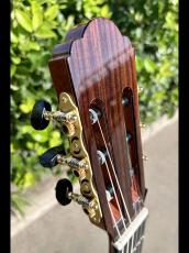 Aiersi Guitar SC096R-J【オールソリッド|杉&ローズ】好評につき在庫追加しました!_6