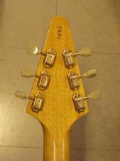 momose MFV K-STD/NJ_6