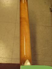 Fender Acoustics Sonoran SCE_8