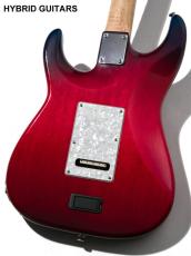 James Tyler Studio Elite Deluxe 10th & 25th Double Anniversary Jim Burst 1997_2