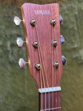 YAMAHA 【初心者の方にもおすすめ!】STORIA Ⅰ【パッシブピックアップ搭載】_5