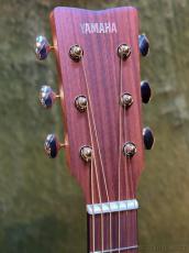 YAMAHA 【初心者の方にもおすすめ!】STORIA Ⅱ【パッシブピックアップ搭載】_5