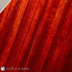 Sallycinnamon Ukulele Concert Padauk_10