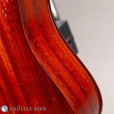 Sallycinnamon Ukulele Concert Padauk_11