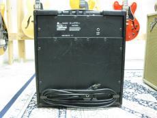 POLYTONE MINI BRUTE3_2
