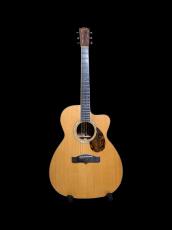 WADE Wade Instruments　Flat Top　Acoustic Guitar