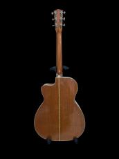 WADE Wade Instruments　Flat Top　Acoustic Guitar_2