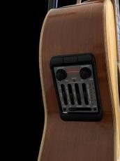 WADE Wade Instruments　Flat Top　Acoustic Guitar_6