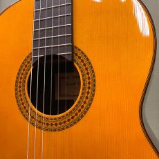 YAMAHA GC22S_2