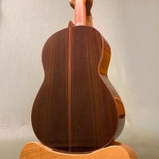 YAMAHA GC22S_5