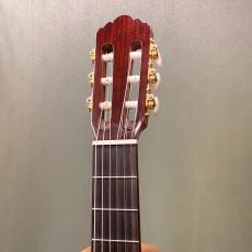 YAMAHA GC22S_6