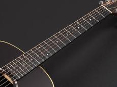 Taylor GS Mini-e Special Edition ~Victorian Burst~_7