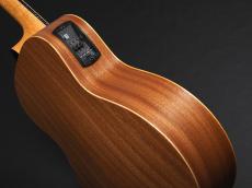 Taylor GS Mini-e Special Edition ~Victorian Burst~_11