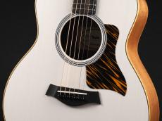 Taylor GS Mini-e Special Edition ~Trans White~_5