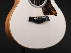 Taylor GS Mini-e Special Edition ~Trans White~_6