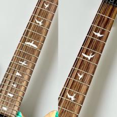 Paul Reed Smith [PRS] SE Custom 24-08 -Turquoise- #CTI G077779【3.54kg】_4