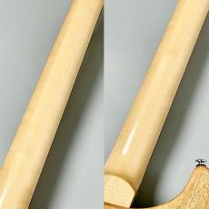 Paul Reed Smith [PRS] SE Custom 24 -Turquoise- #CTIF110715【3.52kg】_6