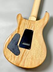 Paul Reed Smith [PRS] SE Custom 24 -Turquoise- #CTIF110715【3.52kg】_8