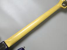 FUJIGEN NJB100MBAH SBB / See-Thru Blue Burst【4.66kg】_8