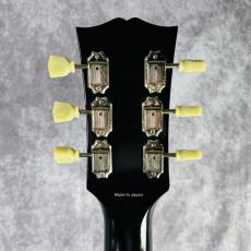 Tokai FA-GP_5
