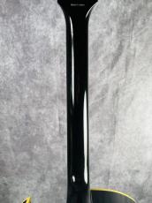 Tokai FA-GP_6