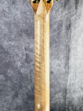 Cole Clark LL2E-RDBL_7