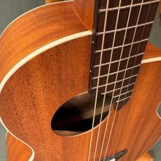 aNueNue Bird M2 New 1502002 aNueNue(アヌエヌエ)【楽器検索｜Jギター】