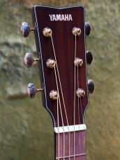 YAMAHA 【初心者の方にもおすすめ!】STORIA Ⅲ【パッシブピックアップ搭載】_5