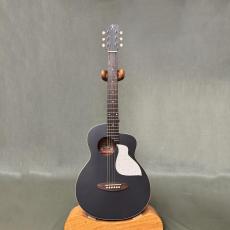 aNueNue Bird MC10 _2